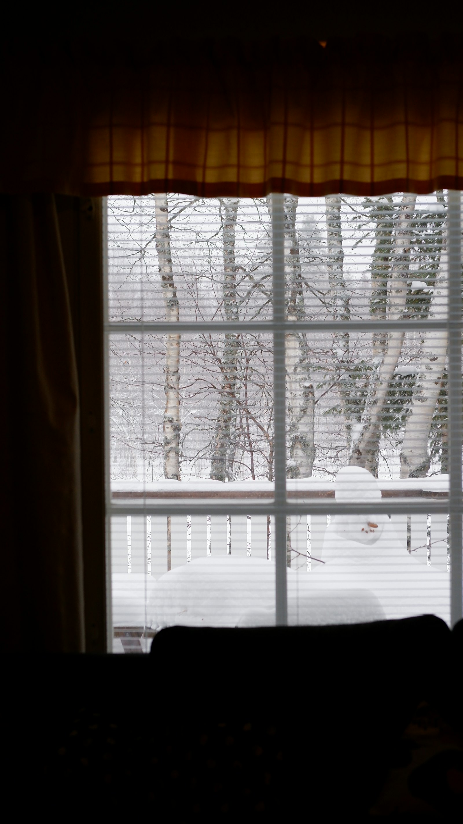 The Winter Storm Kit
